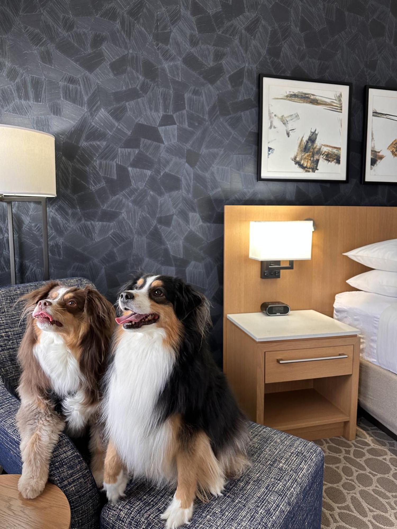 Hotel Delta By Marriott Downtown Calgary